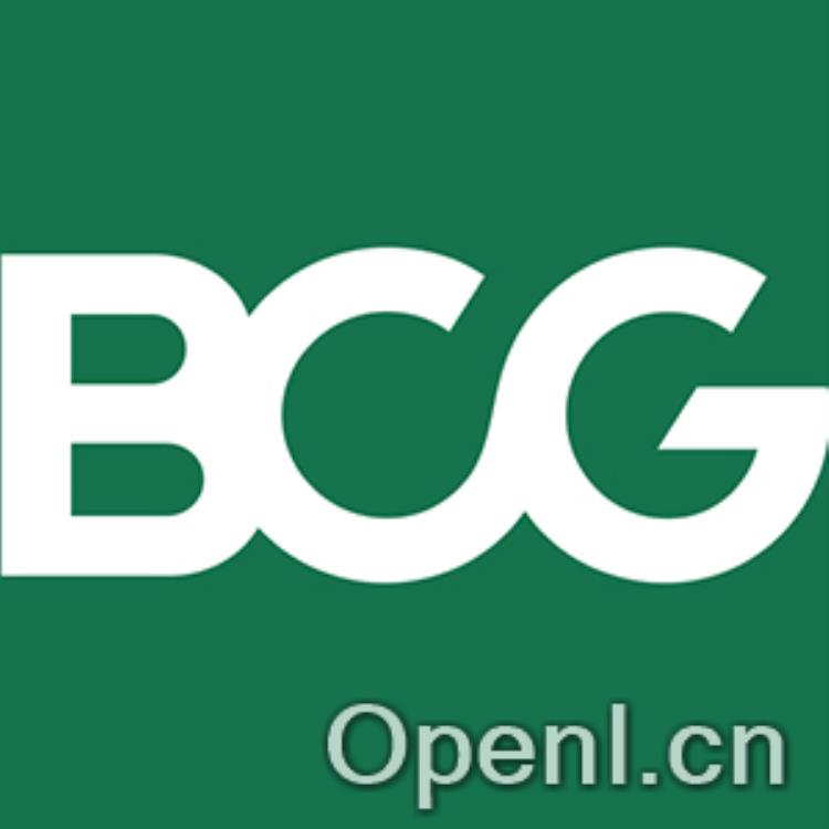 BCG – 波士顿