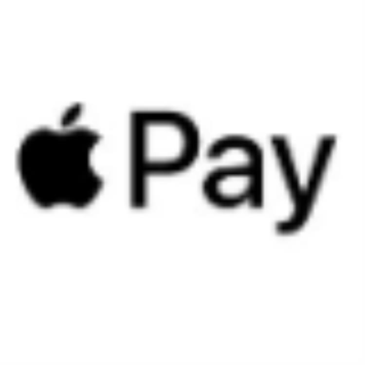 apple pay