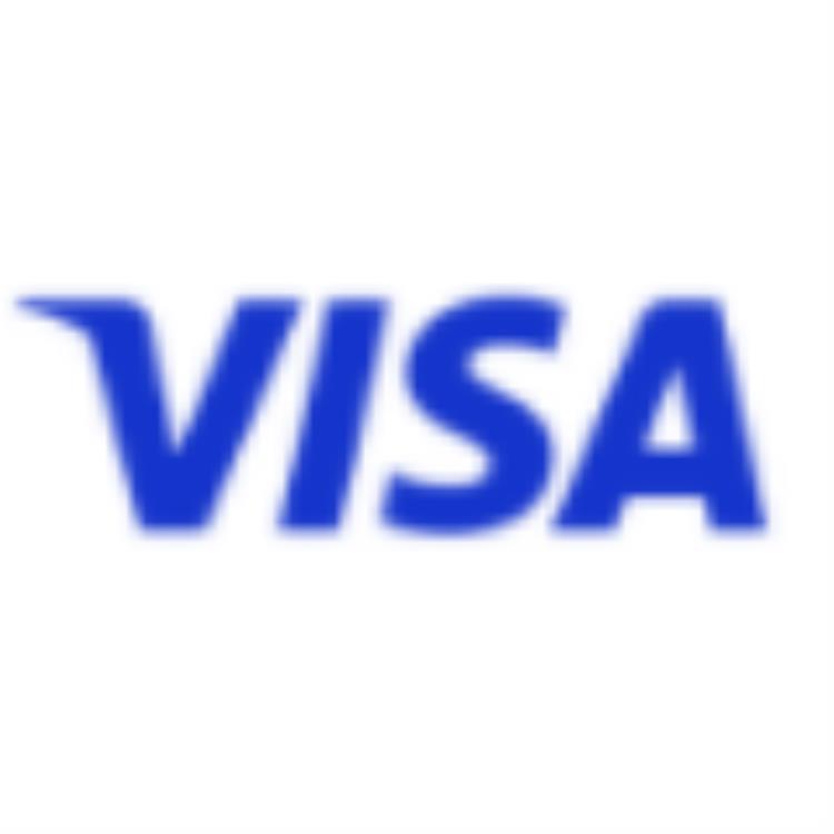 Visa pay