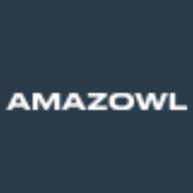 Amazowl 营销服务