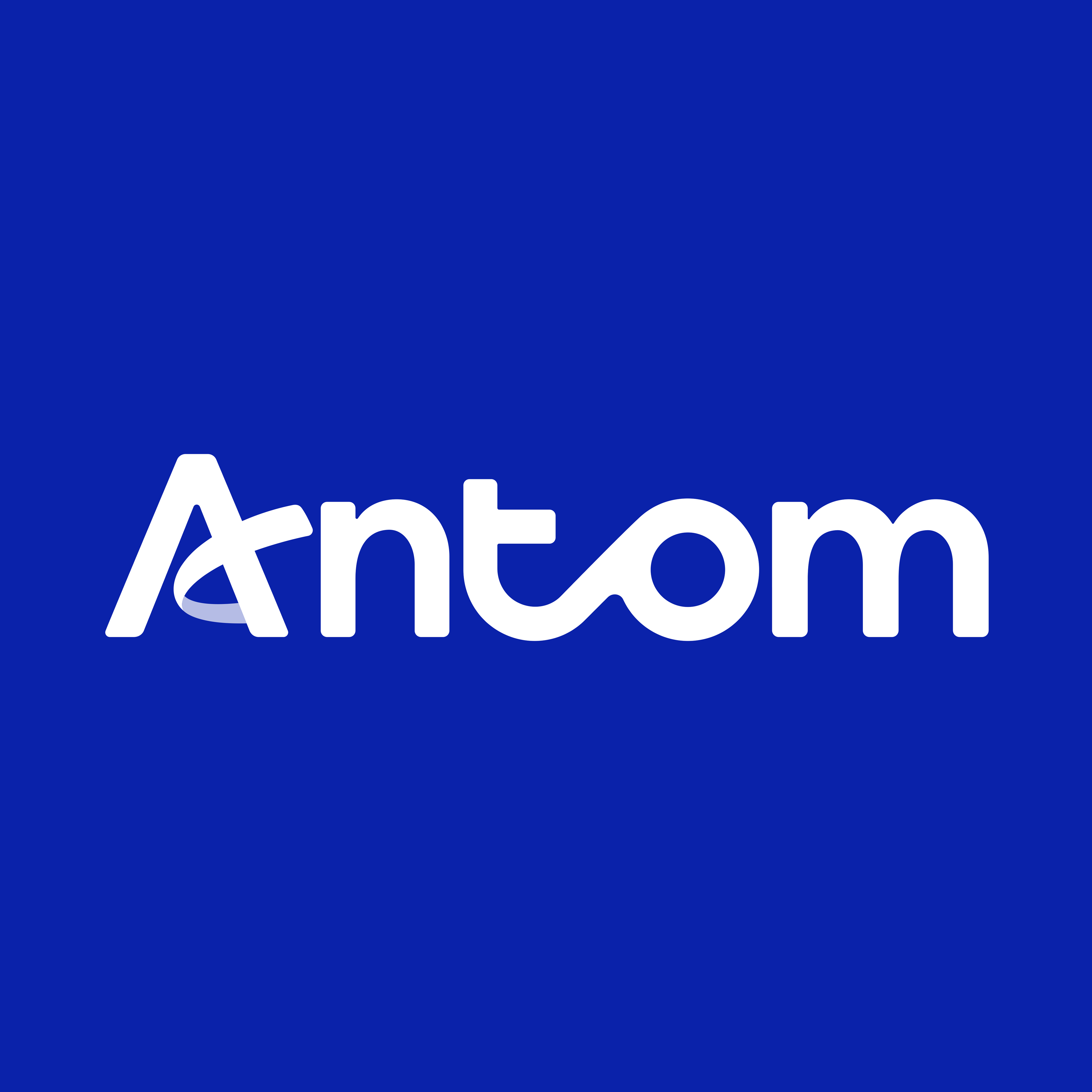 Antom 全球收单