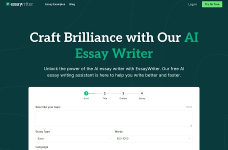 EssayWriter io,EssayWriter io官网截图,一款由人工智能驱动的文章写作助手